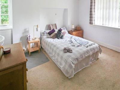 Picture 22